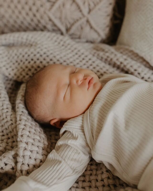 ZÁZRAK PŘÍRODY 

Před/po...
__________________

#new #novyclenrodiny #newbornphotography #newborn #miminko #slavkovubrna